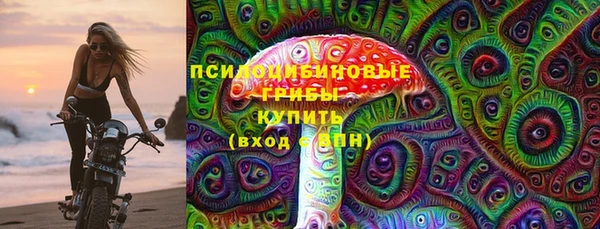 марки nbome Богданович